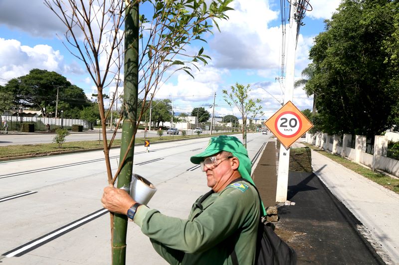Av. Victor Ferreira recebe novas árvores. Curitiba, 17/03/2025. Foto: Valquir Aureliano/SECOM