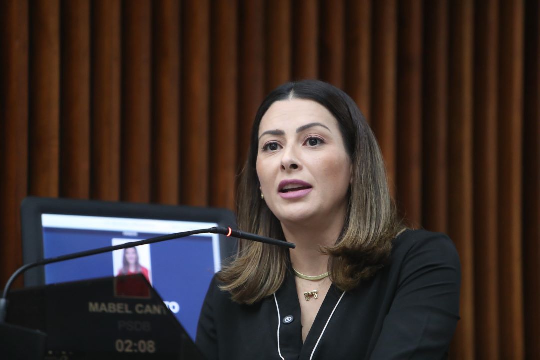Deputada estadual Mabel Canto (PSDB)