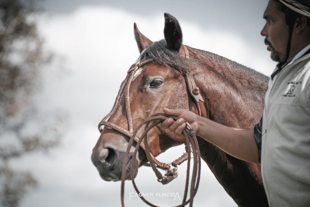 Crédito da foto: Fagner Almeida