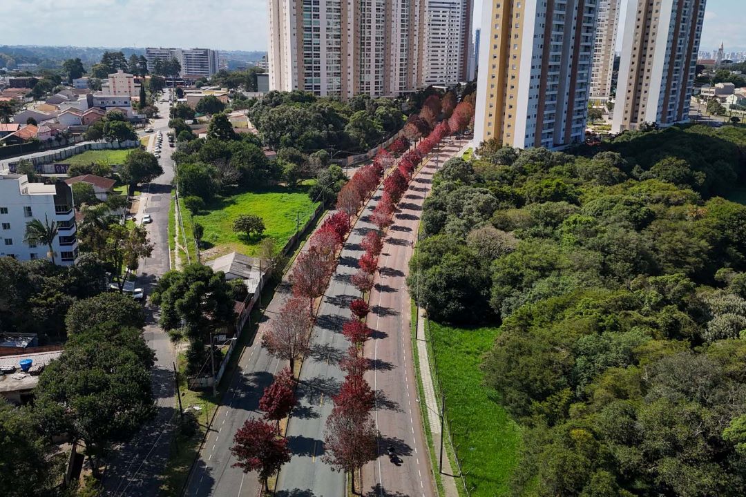 Foto: Geraldo Bubniak/AEN