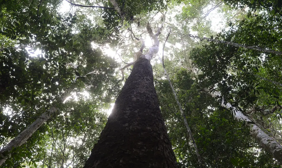 © Antonio Cruz/Agência Brasil