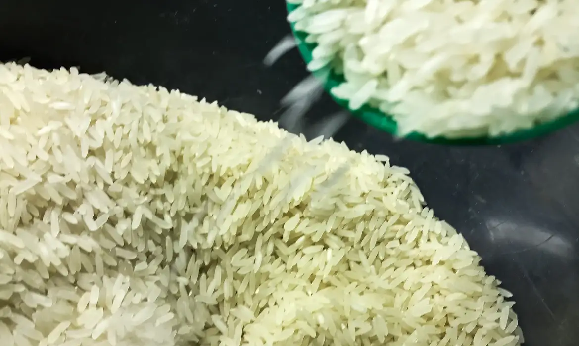 A Companhia Nacional de Abastecimento (Conab) anunciou a destinação de mais R$ 300 milhões para compra de arroz, com o objetivo de “sinalizar ao mercado preços mais justos ao produtor”. Com os recursos, será possível garantir contratos para, aproximadamente, 200 mil toneladas do grão, da safra 2025/2026.