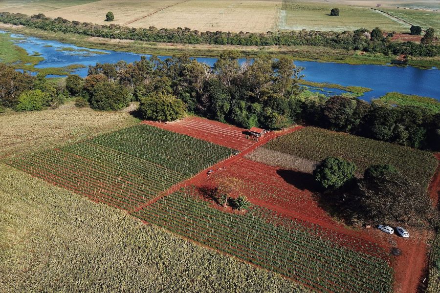 Paraná tem planos estratégicos para agricultura sustentável, segurança hídrica e descarbonização. Foto: José Fernando Ogura/AEN