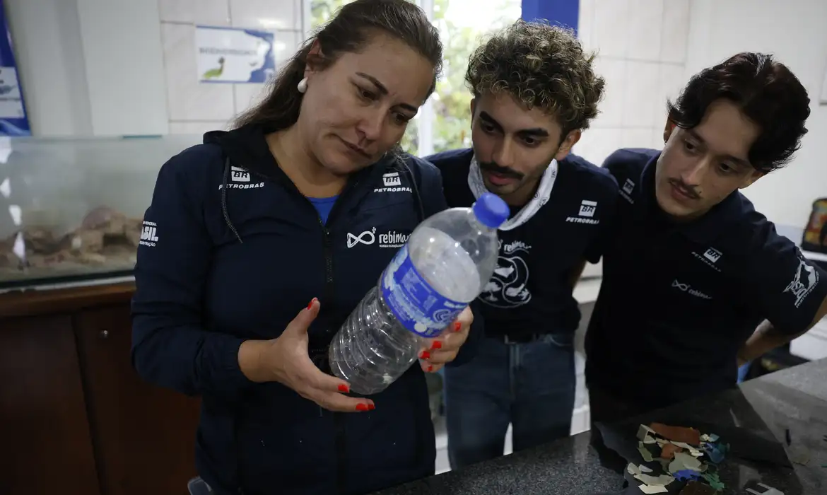 Estudo revela microplásticos em 93% dos peixes analisados no litoral do Paraná