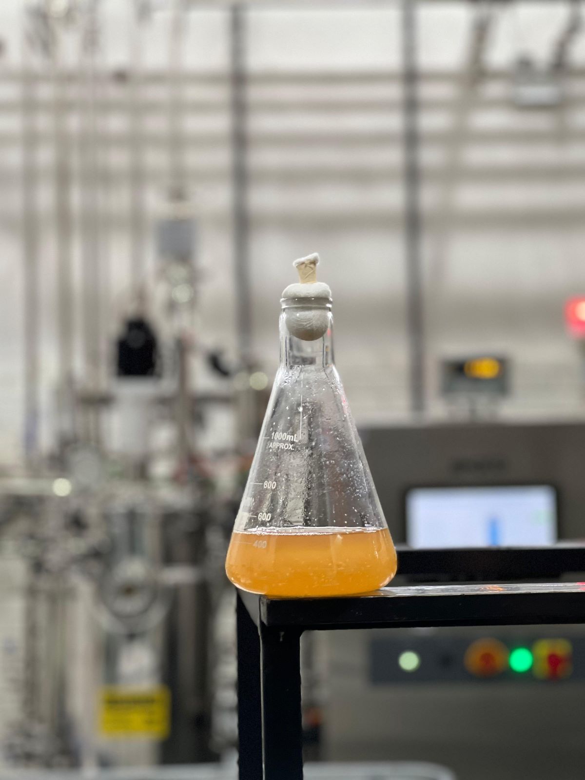 Estudo mostra que bioestimulante aumenta produtividade da soja mesmo em períodos de seca